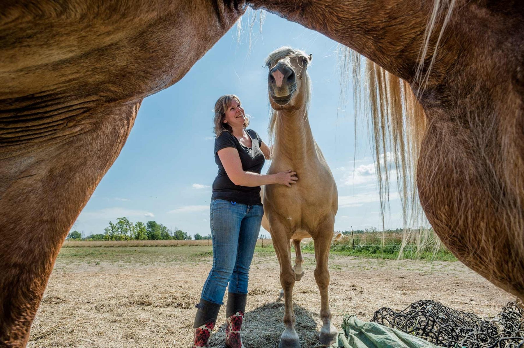 Penny Lane Sanctuary founder Karyn Boswell with two rescued horses, Teddy and Penny. Canada, 2016