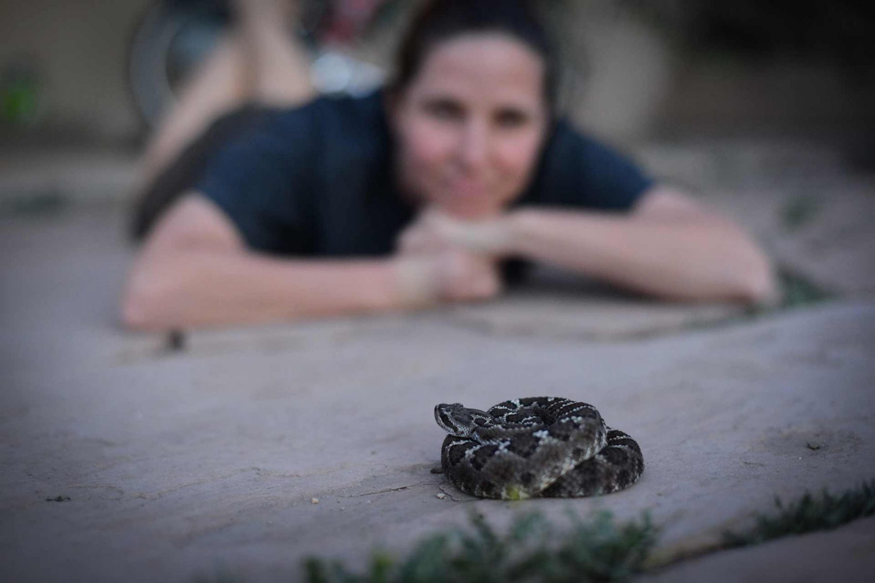 Snake advocate and co-founder of Advocates for Snake Preservation Melissa Amarello with a rescued rattlesnake named Cash. USA, 2014
