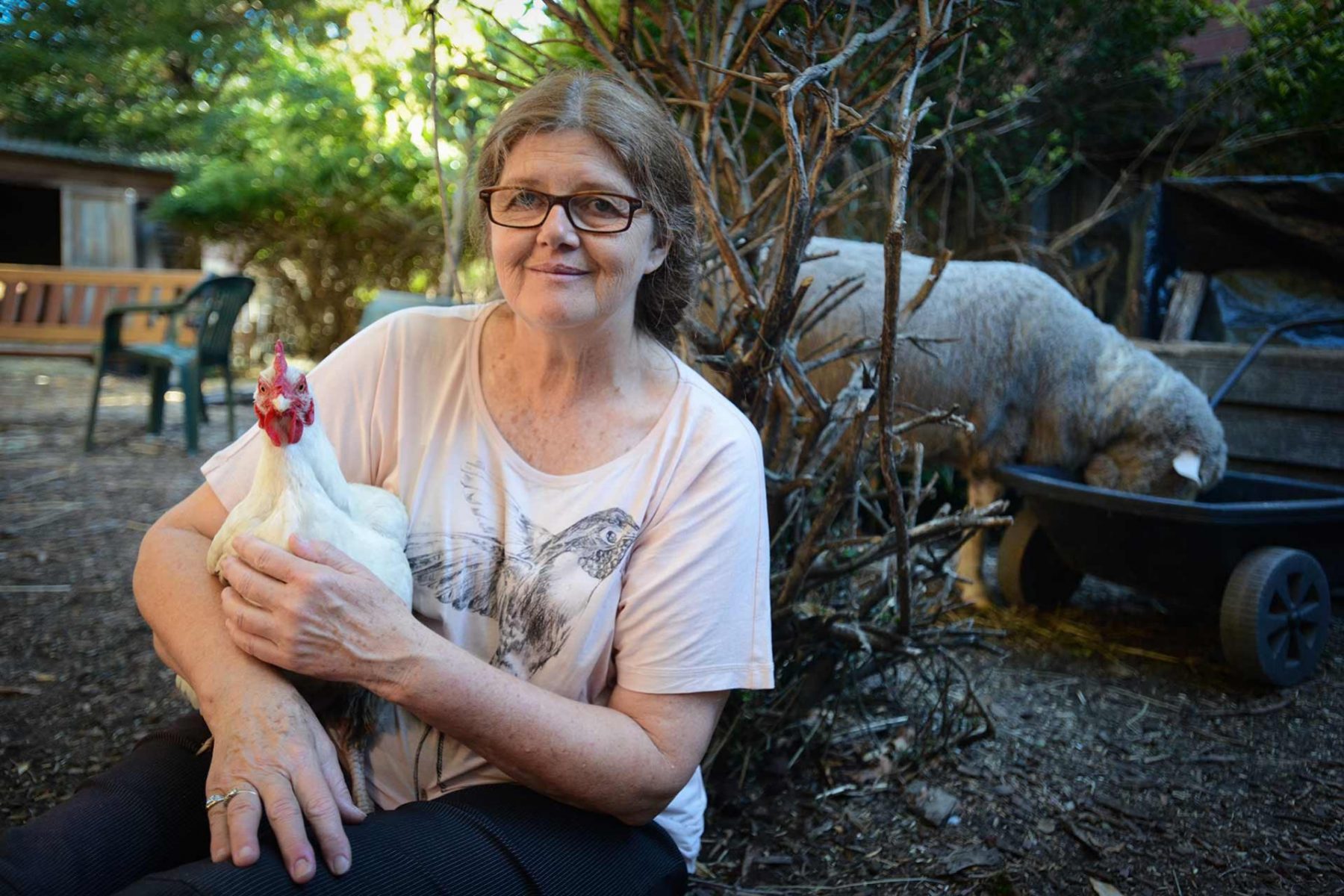 Animal Liberation Victoria founder, Patty Mark, with rescued animals in her yard. Mark created the concept of open rescues, a practice which continues by many liberation groups today. Australia, 2013