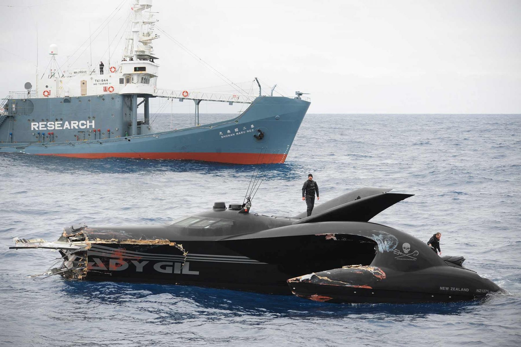 During clashes between Sea Shepherd Conservation Society and the Japanese whaling fleet in the southern ocean, the Ady Gil was rammed by the Shonan Maru II. The boat later sunk. Crew sustained injuries but there were no mortalities. No charges were laid. Antarctic ocean, 2010