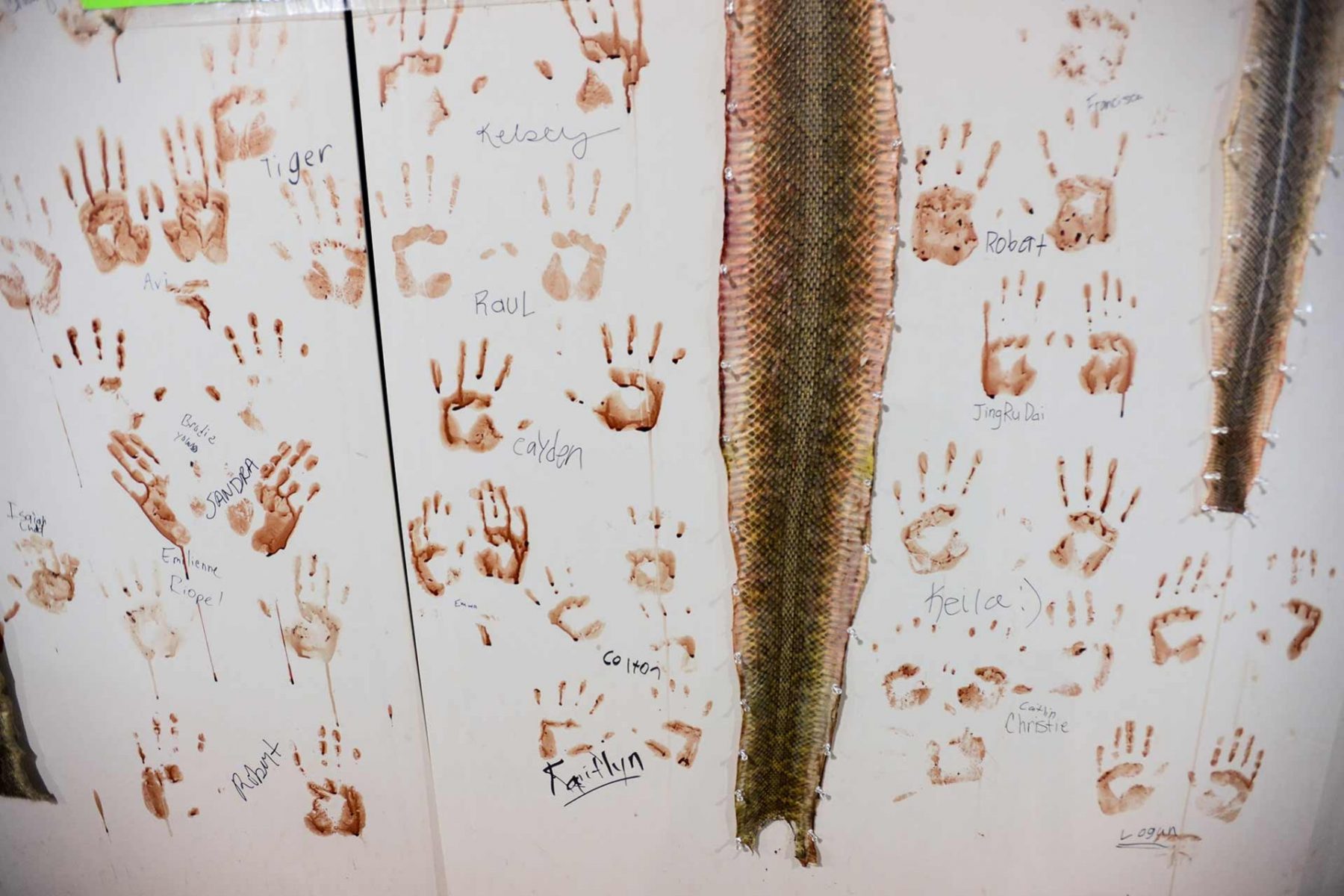 Visitors can pay to skin snakes and are encouraged to add their bloody hand prints to the wall at the annual Sweetwater Rattlesnake Roundup. USA, 2015
