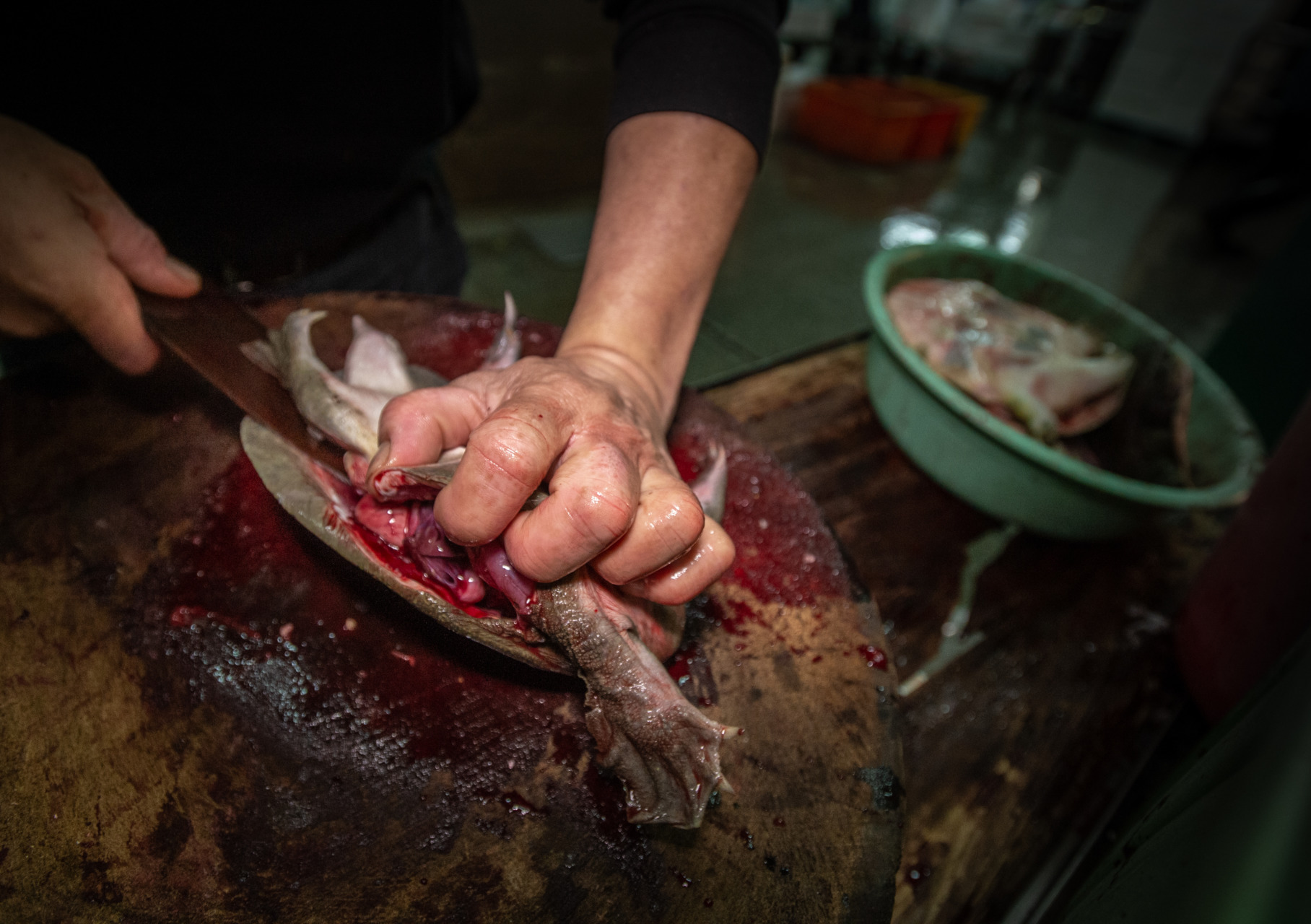 A turtle writhes in agony as his shell is sliced off. He will die painfully and slowly of his wounds. Taiwan. Jo-Anne McArthur.