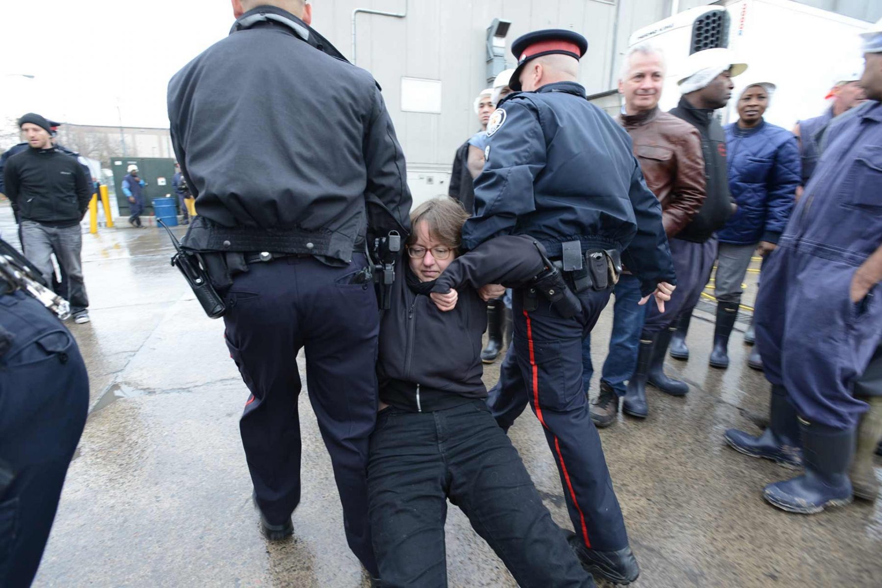 Animal activist Jenny McQueen being dragged away and arrested by police at a Direct Action Everywhere event, which blockaded the entry of trucks carrying cows to slaughter. Canada, 2014