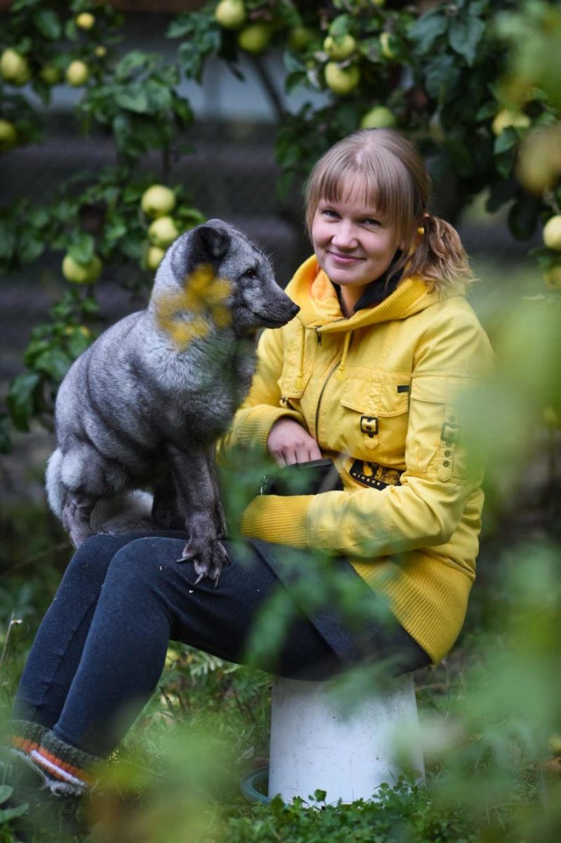 Tuulispää Sanctuary founder Piia Anttonen with Otto, a fur farm escapee. Finland, 2016