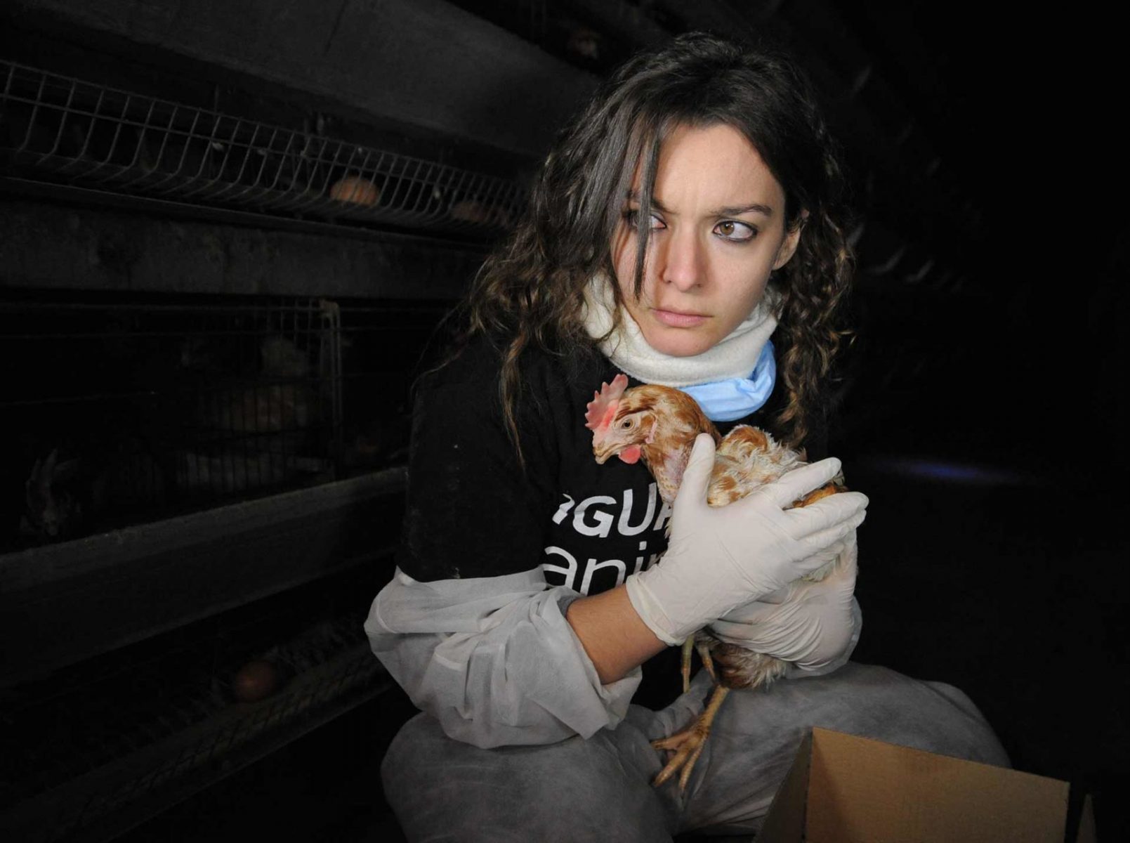 Maria Gonzalez with a hen during an open rescue with Igualdad Animal. Spain, 2009