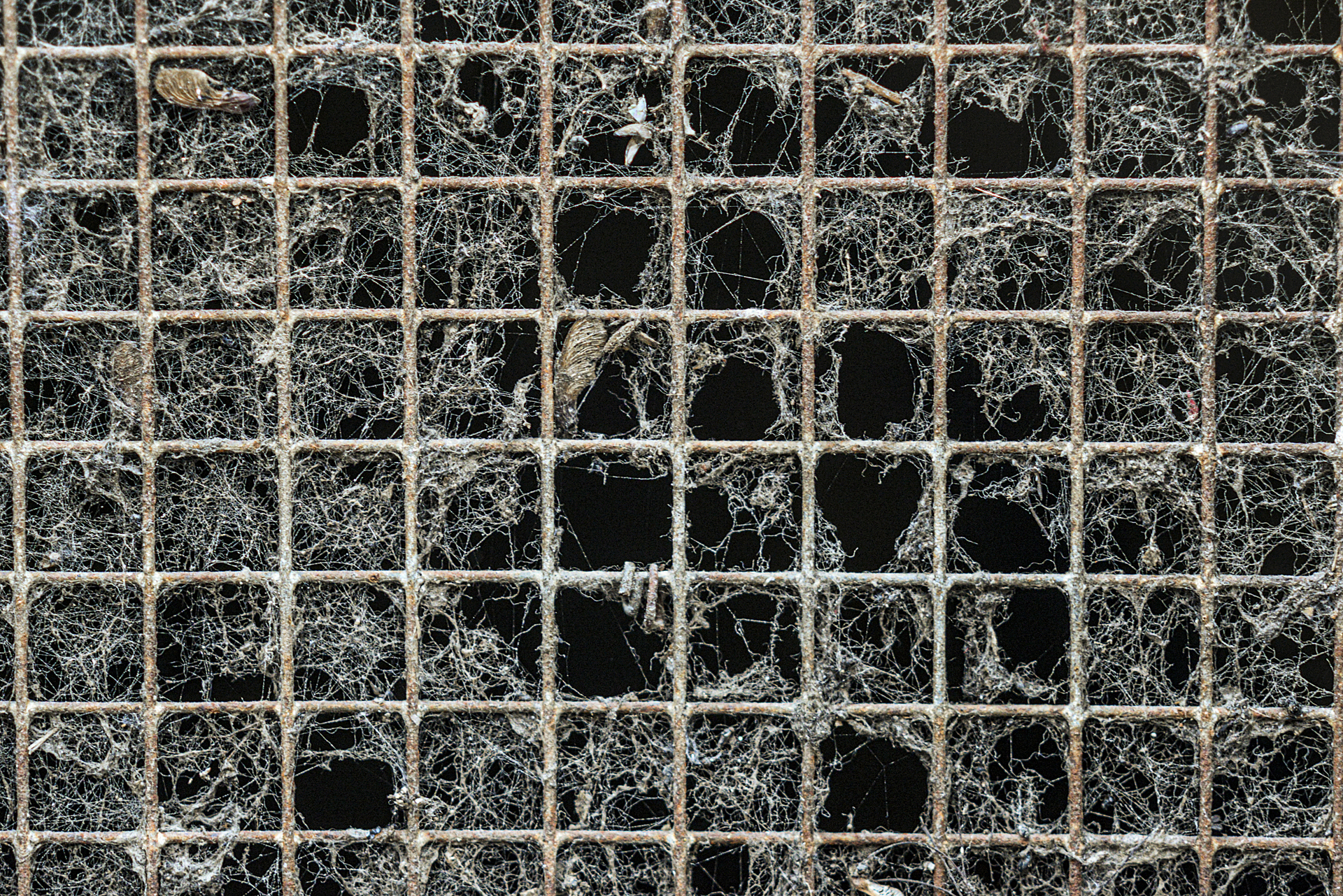 The entry to a mink shed in Quebec. Fur and dirt are entwined in the door's window.