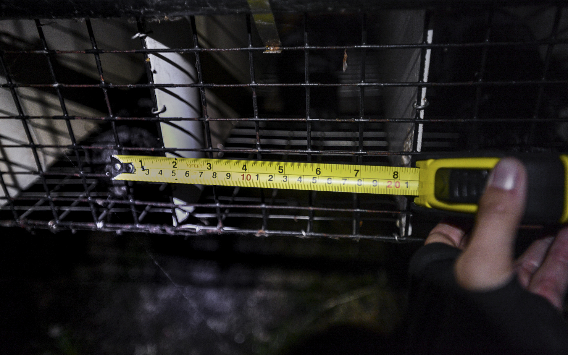 Codes of practice in Canada state the cage should be 8 in wide × 24 in deep × 16 in high.