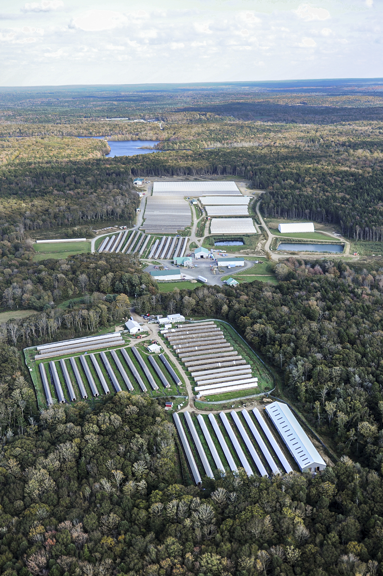 Aerial view of a fur farm in Nova Scotia.