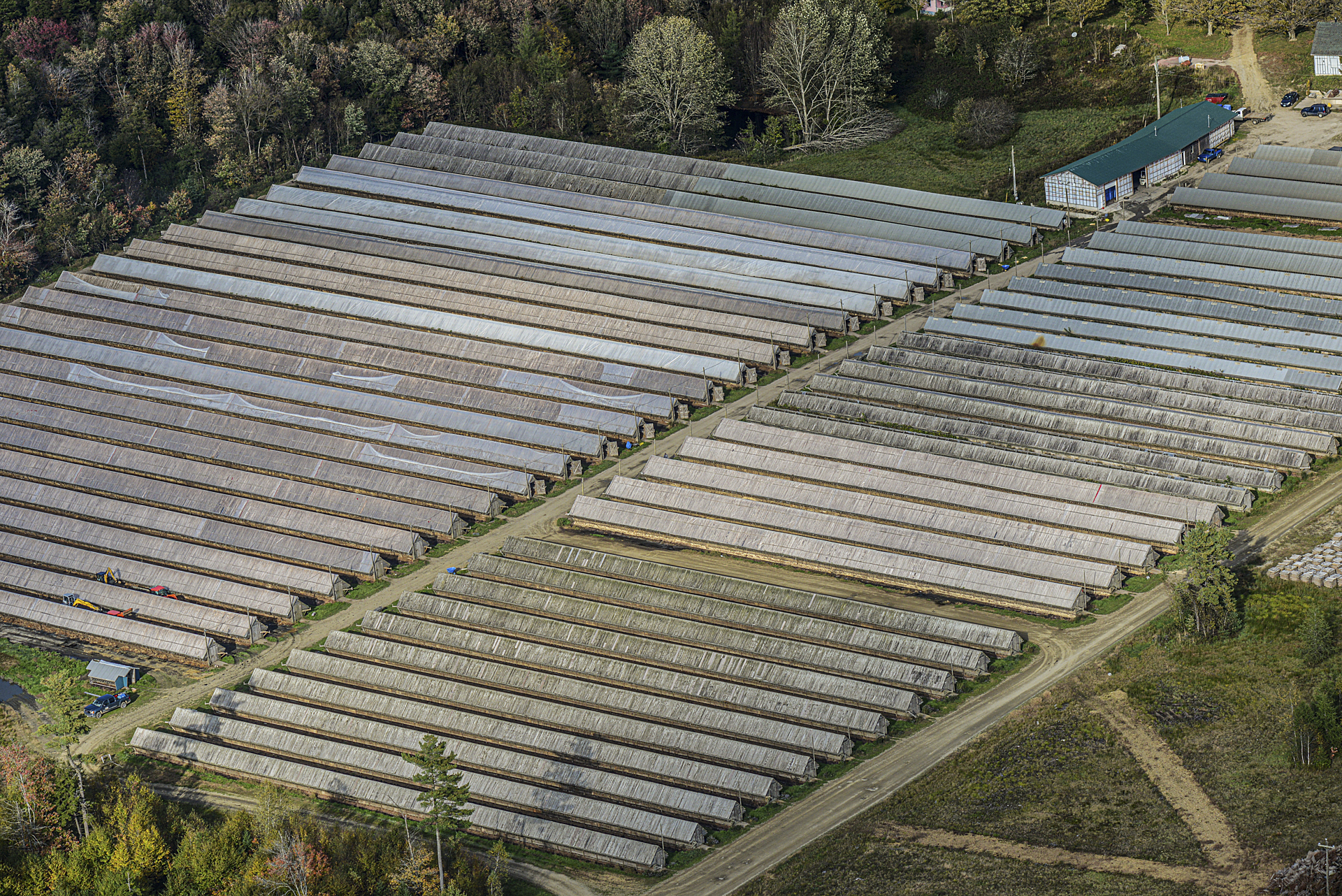 Aerial view of a fur farm in Nova Scotia.