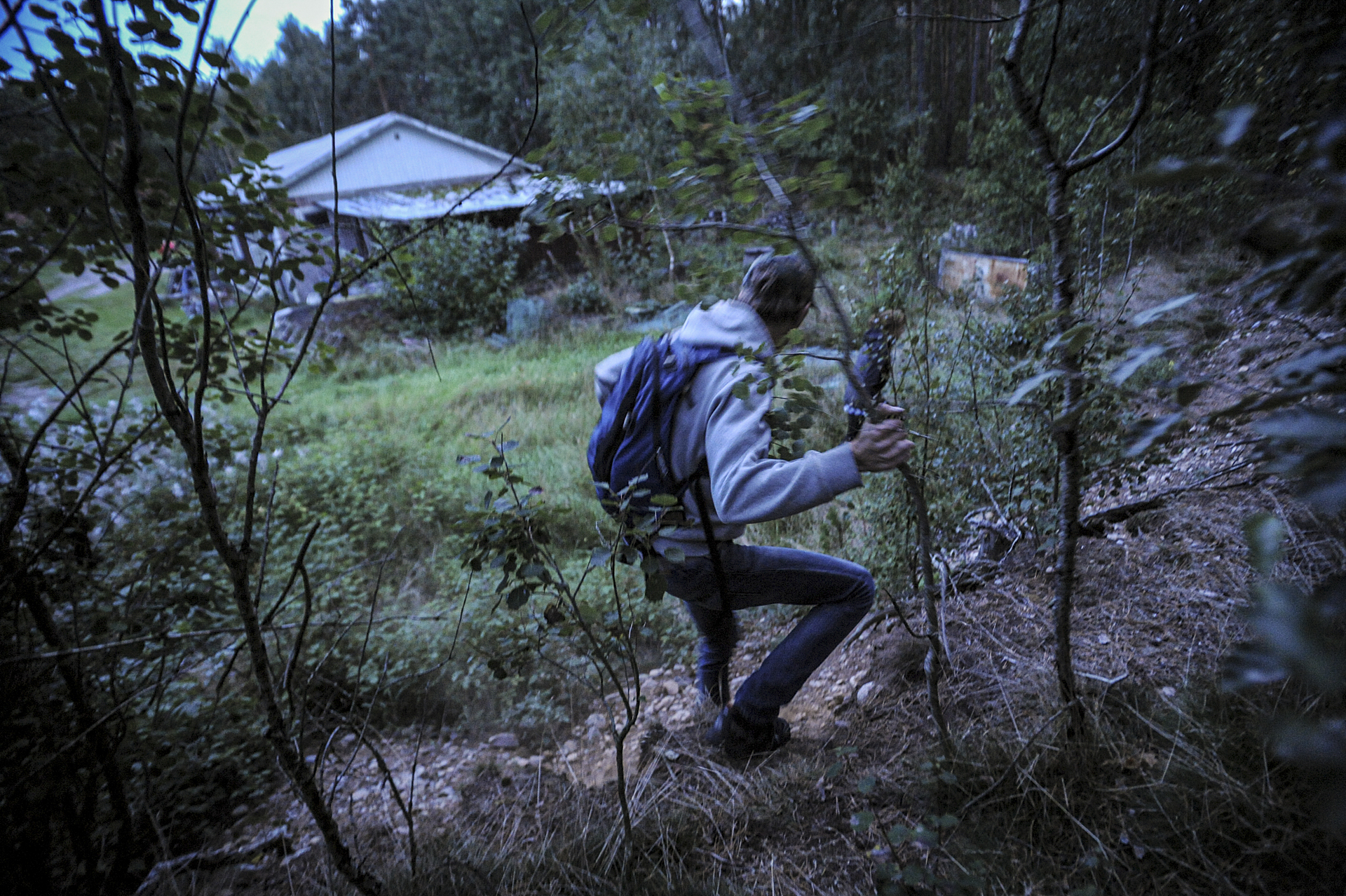 Activists walk through a forest to investigate a fur farm in Sweden..