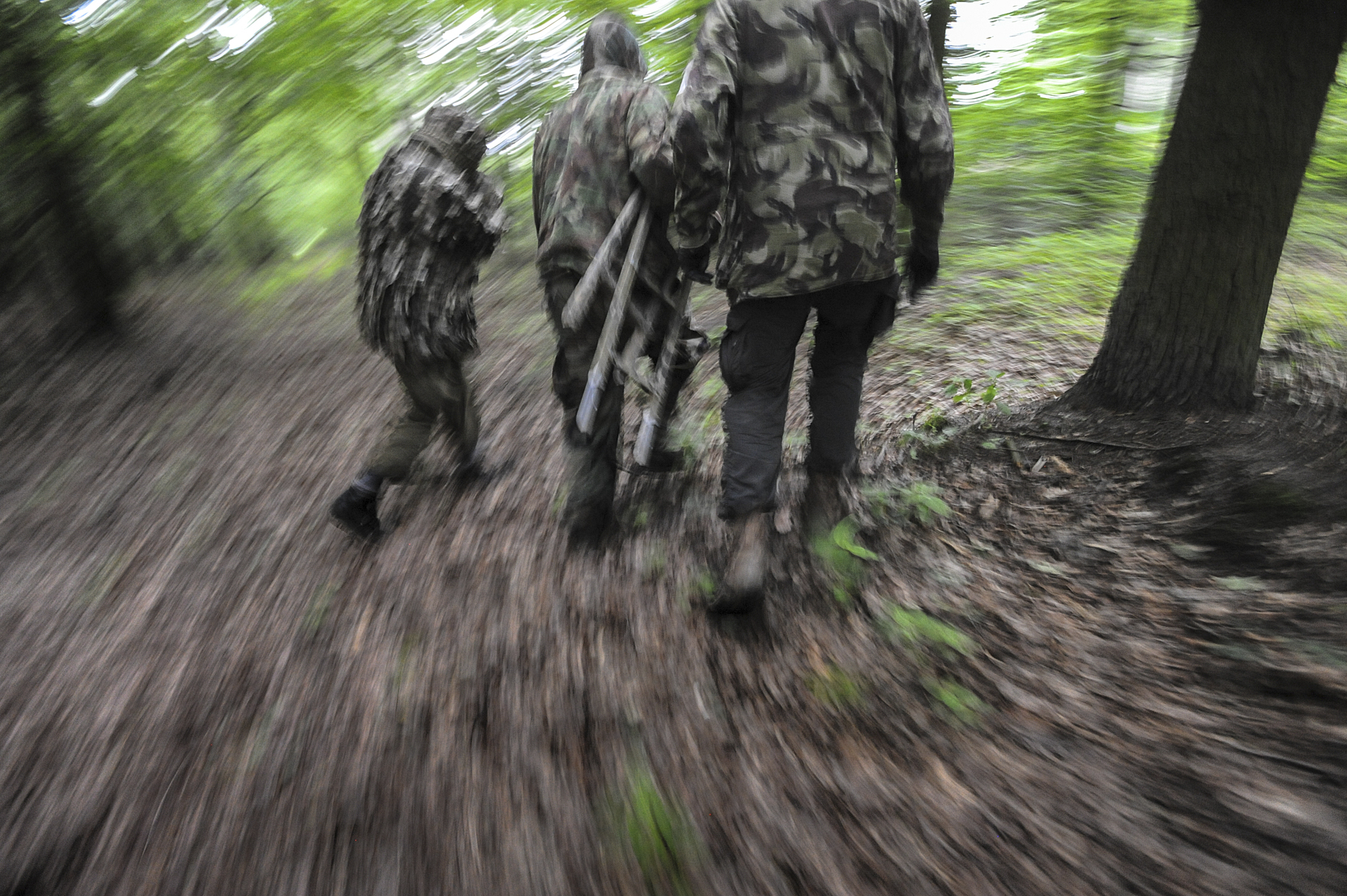Activists walk through a forest at dawn to investigate a fur farm. Location undisclosed.